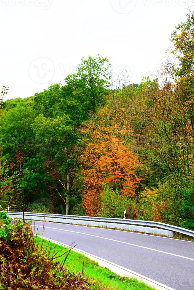 camino en el bosque de otoño foto