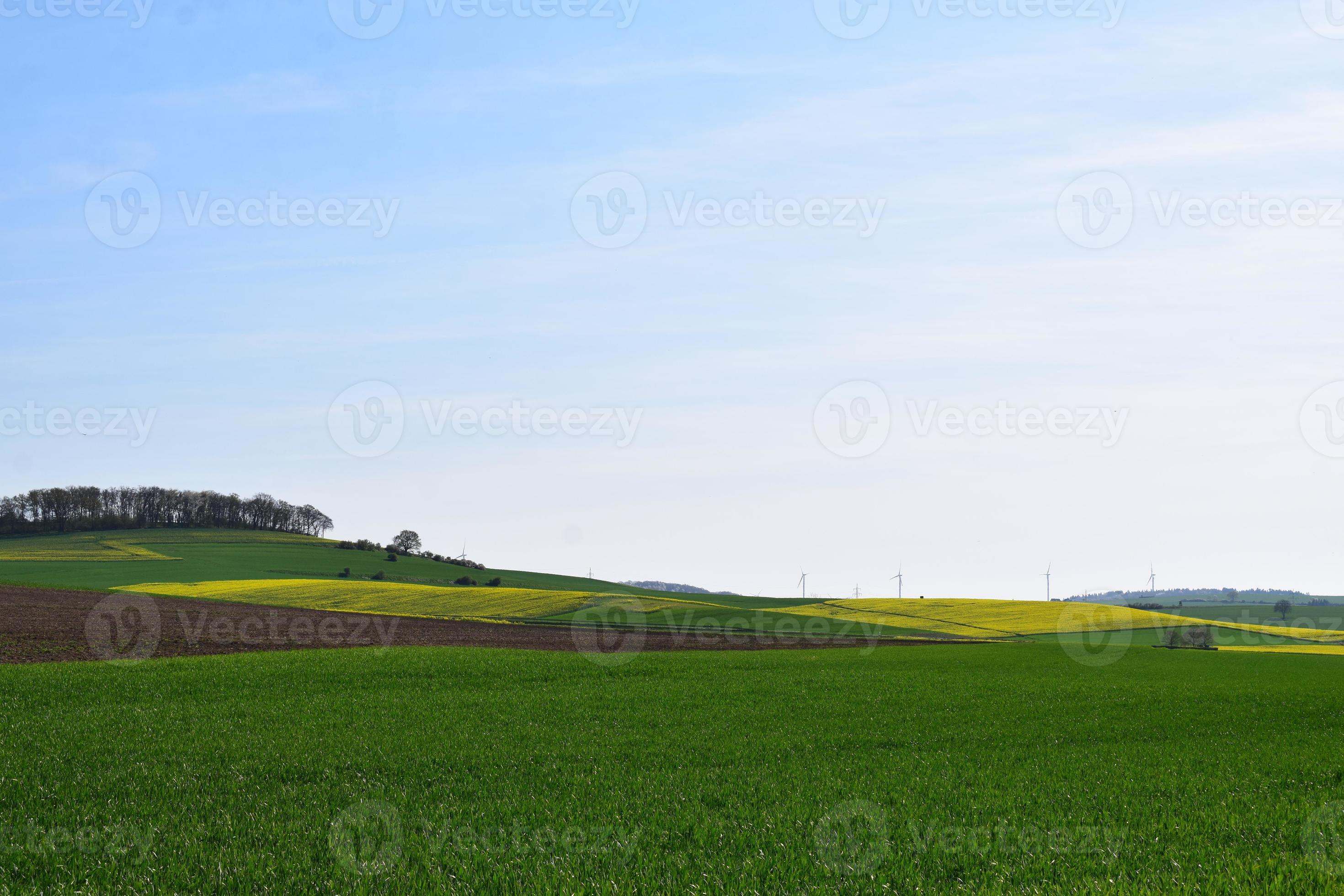 Green and Yellow Fields in Spring 22976865 Stock Photo at Vecteezy