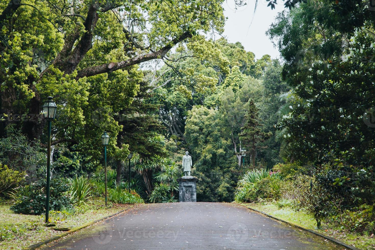 Jardim Botanico Jose do Canto in Ponta Delgada, Sao Miguel, the Azores photo