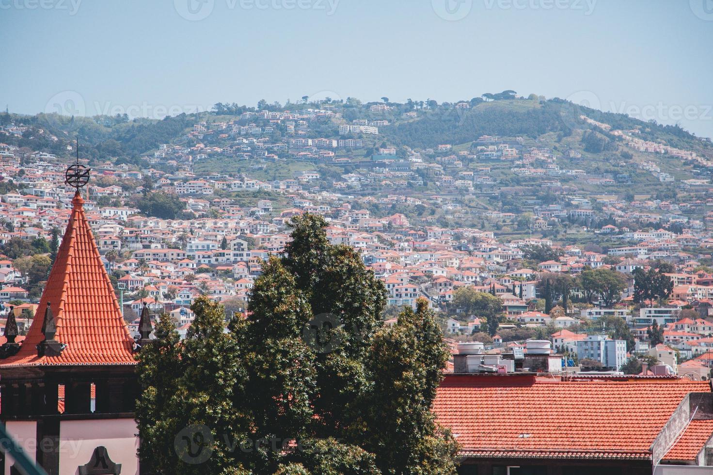 Views from around Funchal, Madeira in Portugal photo