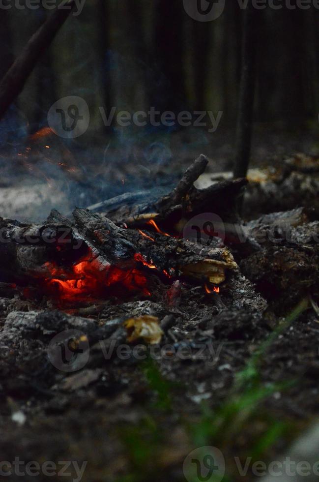 Glowing coals of bright red color. Smoke over the coals. Hot coals burn with wood. The smoldering coals in the forest. photo