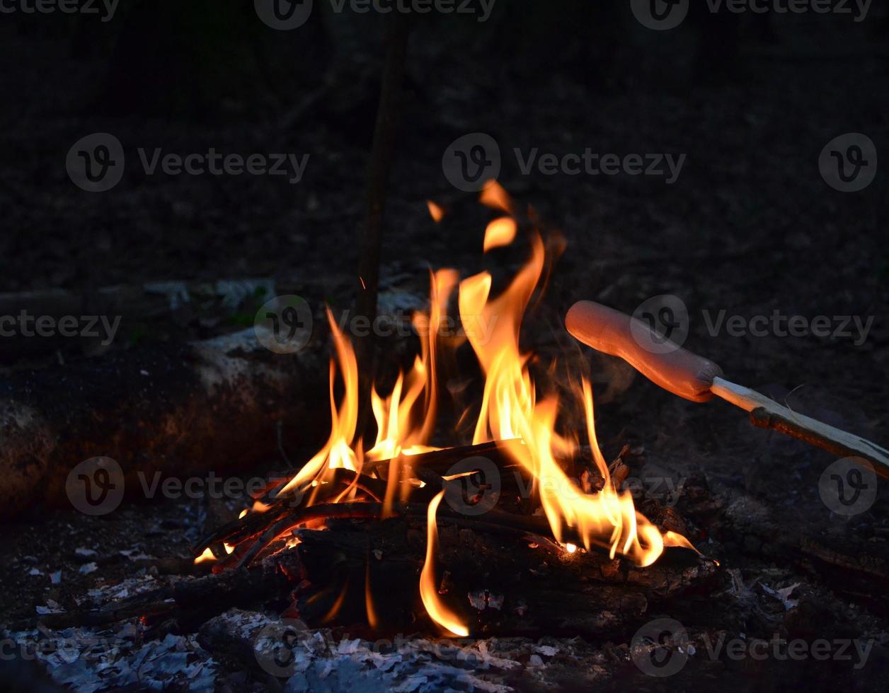 Burning wood logs in the night. Blurred light. Bright red fire. Nature picture. photo