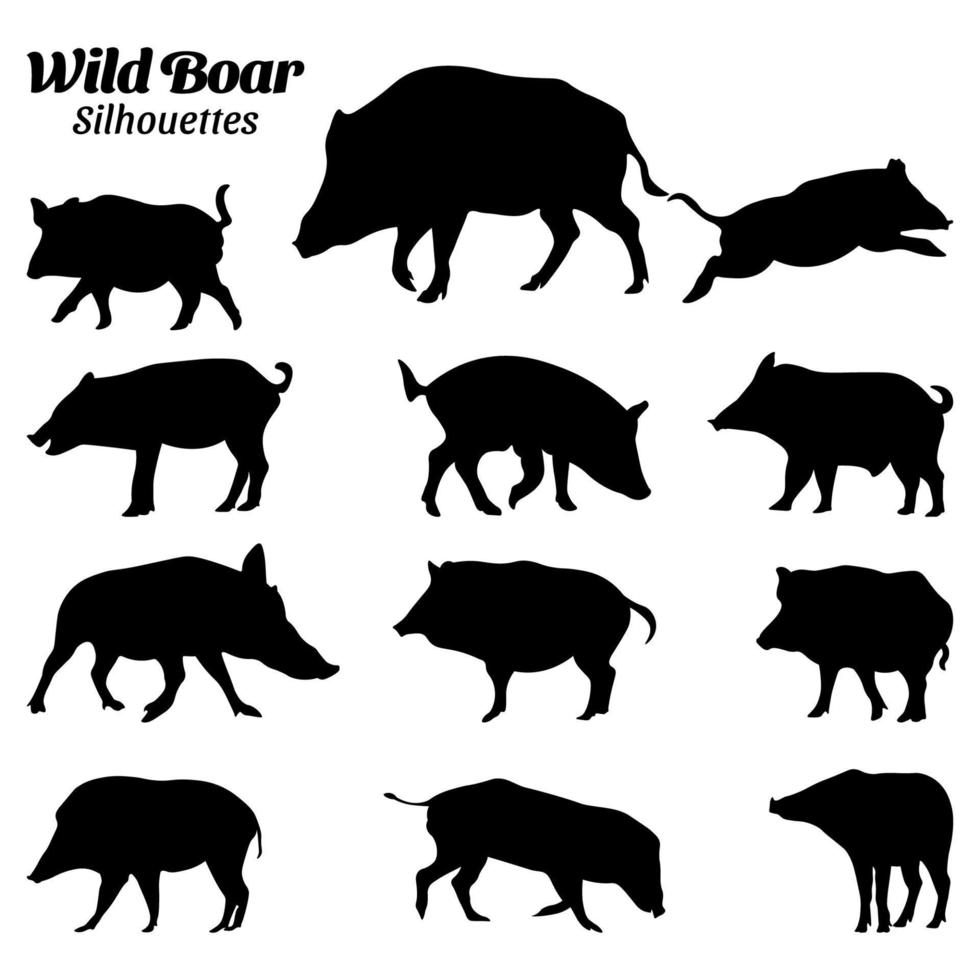 Wild boar silhouette vector illustration set.