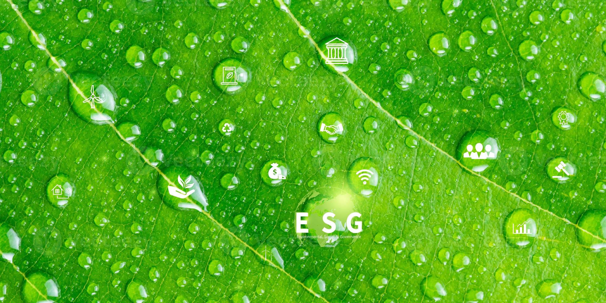 Fondo de ilustración de vector de negocio sostenible o negocio verde con concepto de icono de conexión relacionado con el conjunto de iconos ambientales respetuosos con el medio ambiente. banners de cabecera web y social para esg. foto