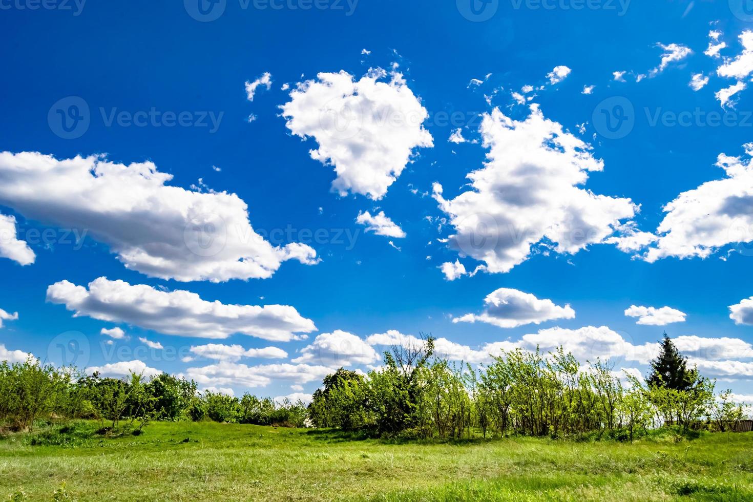 Beautiful horizon scenery in village meadow on color natural background photo