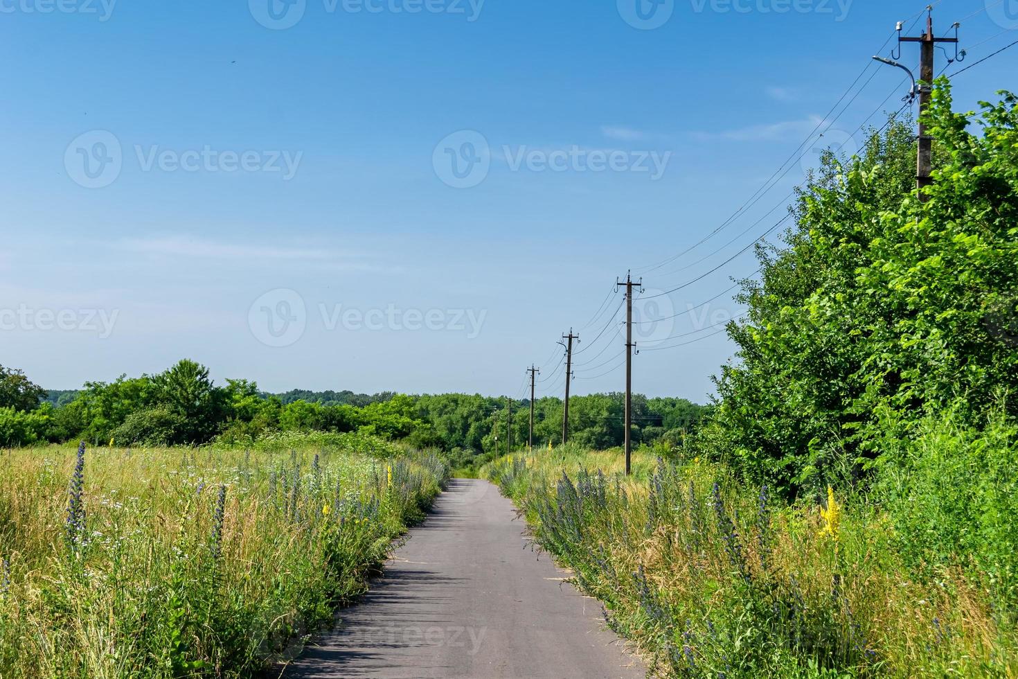 Beautiful empty asphalt road in countryside on colored background photo