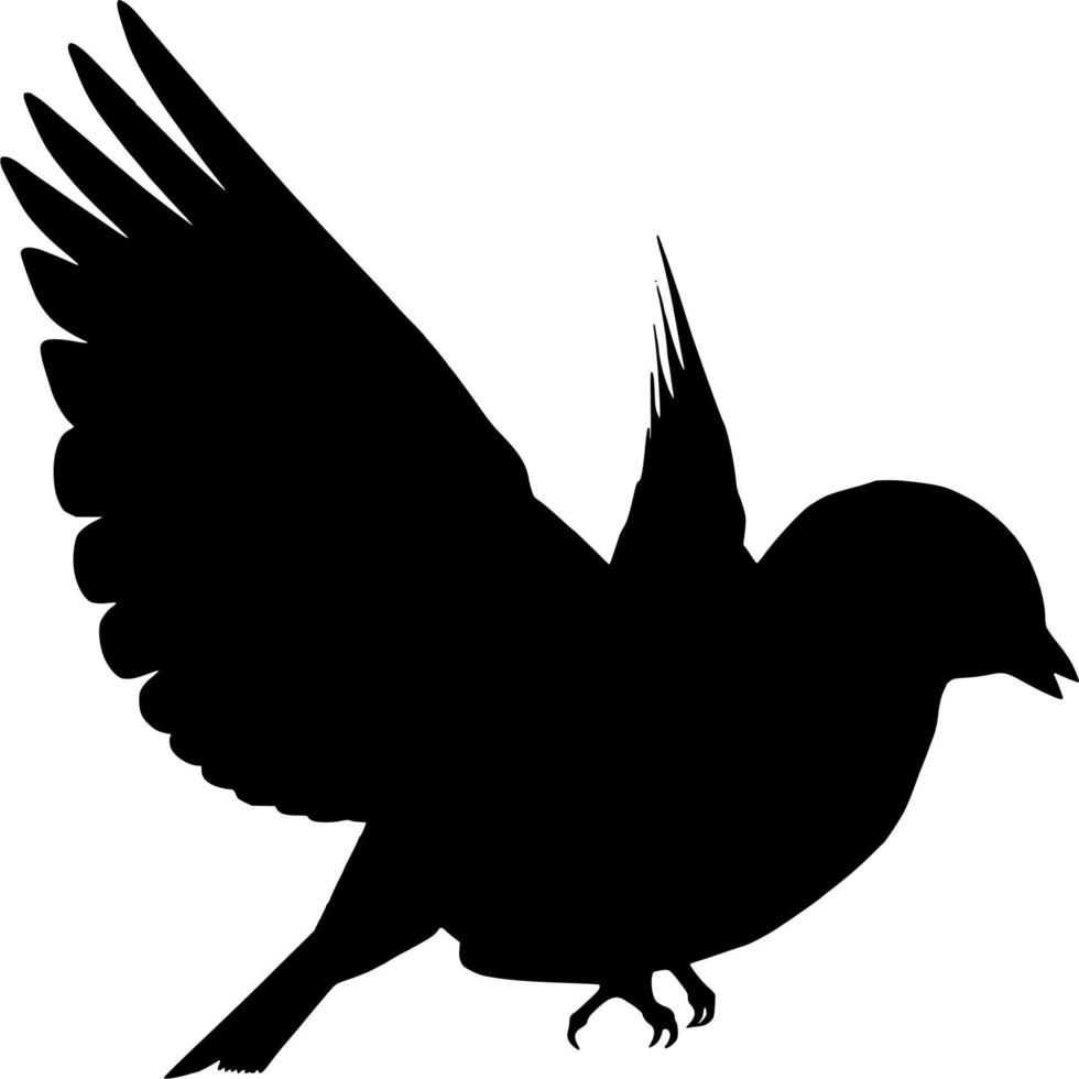 Vector silhouette of Bird on white background