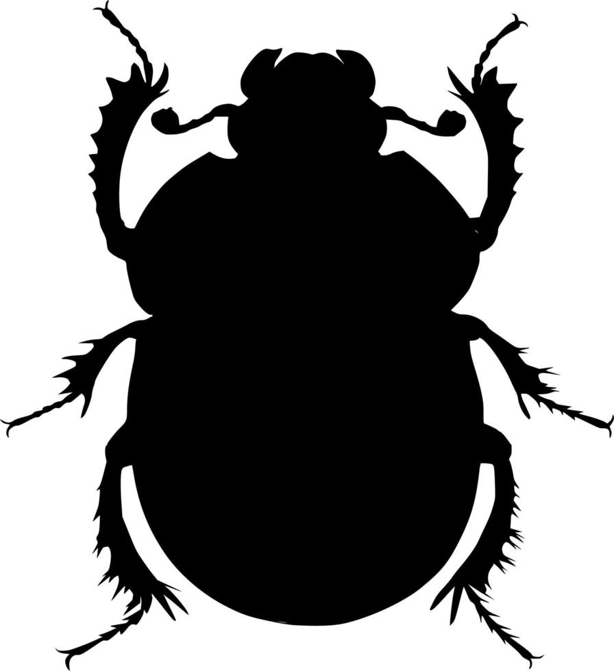 Vector silhouette of beetle on white background