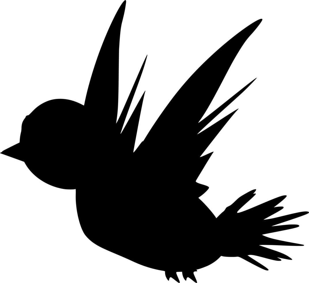 Vector silhouette of Bird on white background