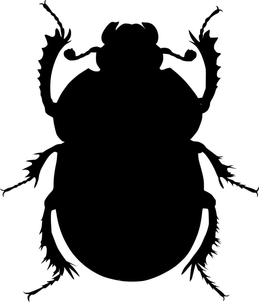 Vector silhouette of beetle on white background