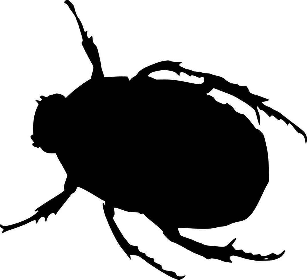 Vector silhouette of beetle on white background