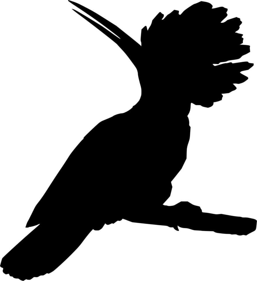 Vector silhouette of Bird on white background