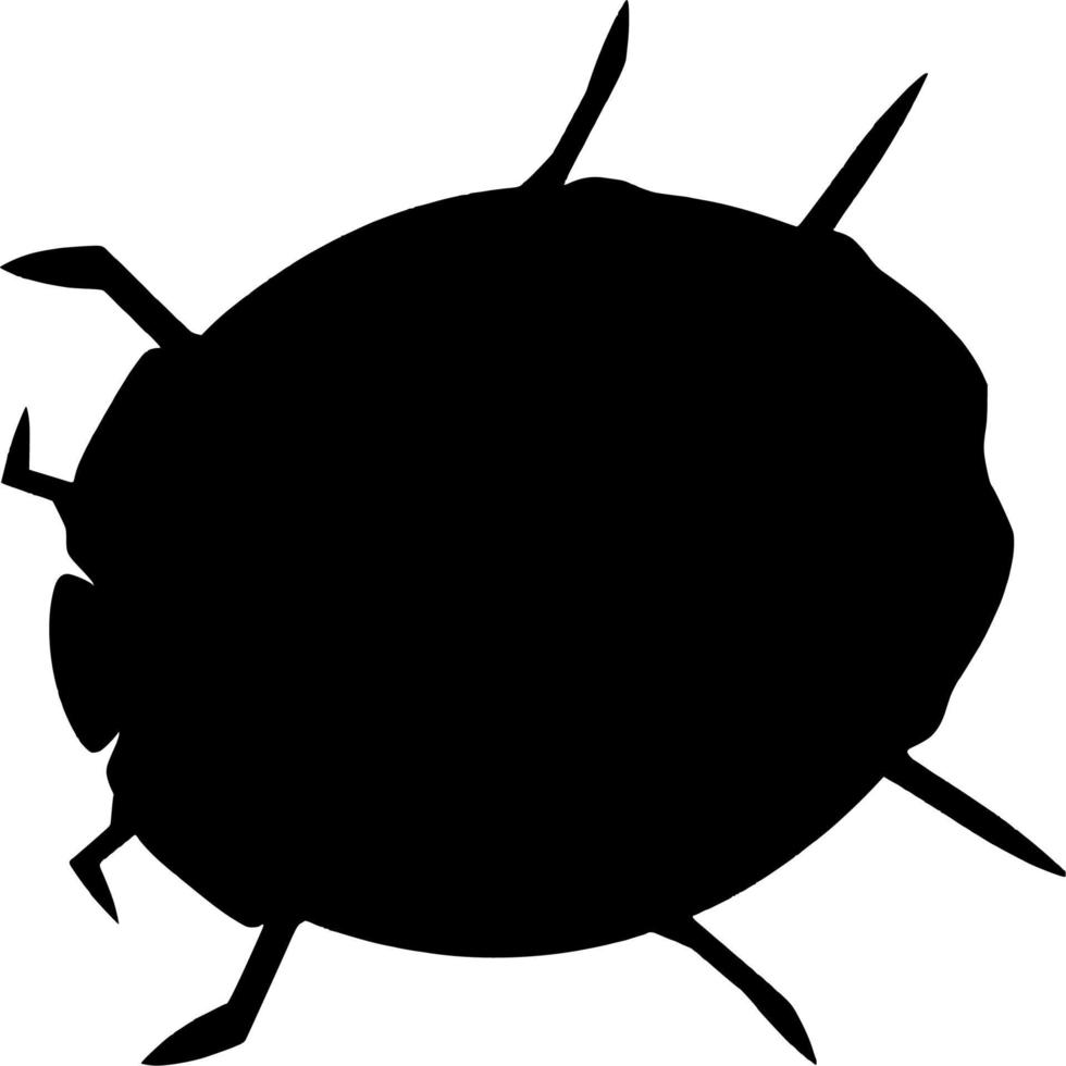 Vector silhouette of beetle on white background