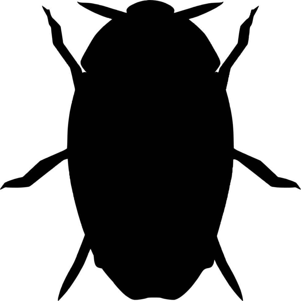 Vector silhouette of beetle on white background