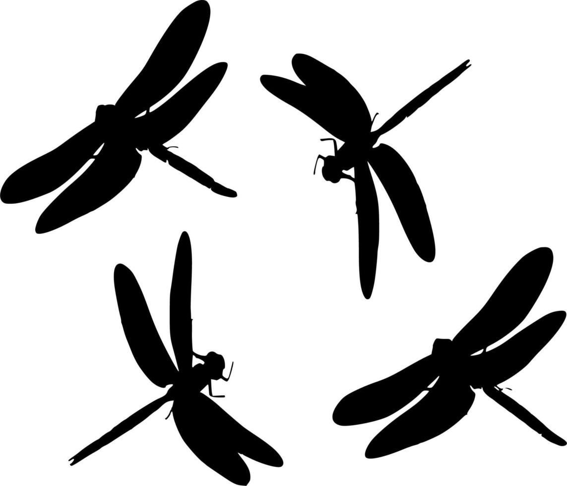 Vector silhouette of dragonfly on white background