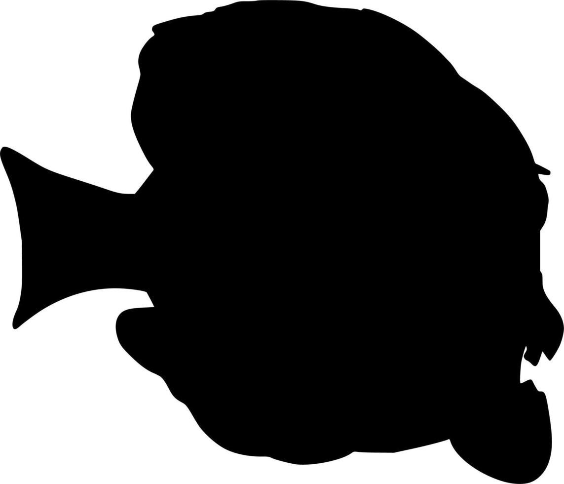 Vector silhouette of fish on white background