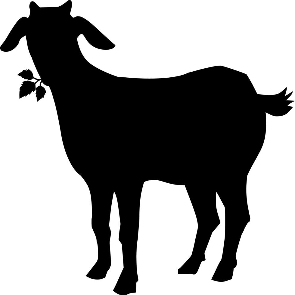 Vector silhouette of Goat on white background