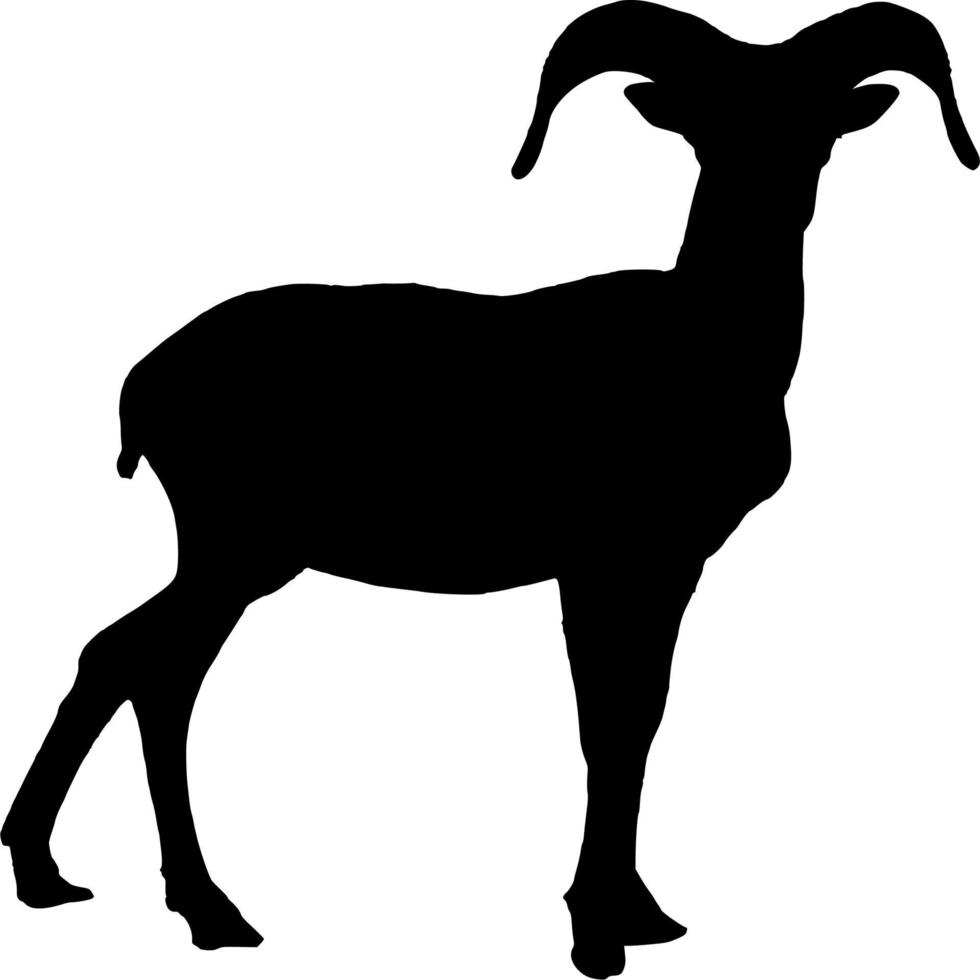 Vector silhouette of Goat on white background
