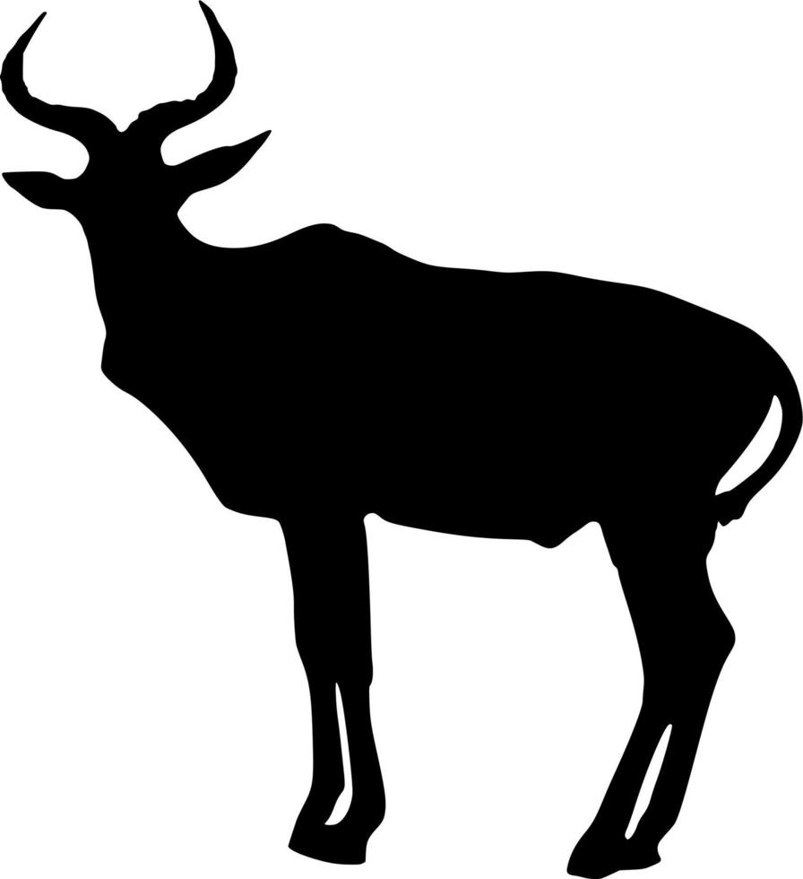 Vector silhouette of Antelope on white background