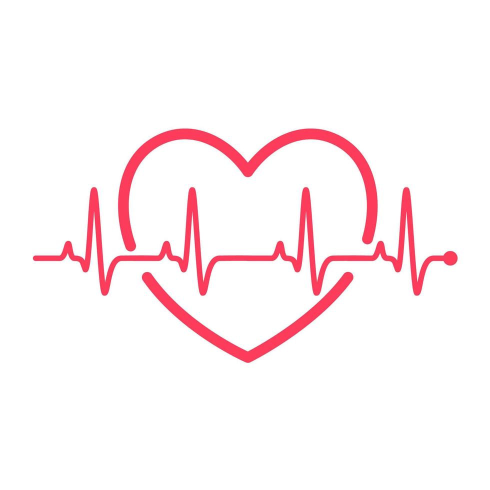 heart rhythm graph Checking your heartbeat for diagnosis vector