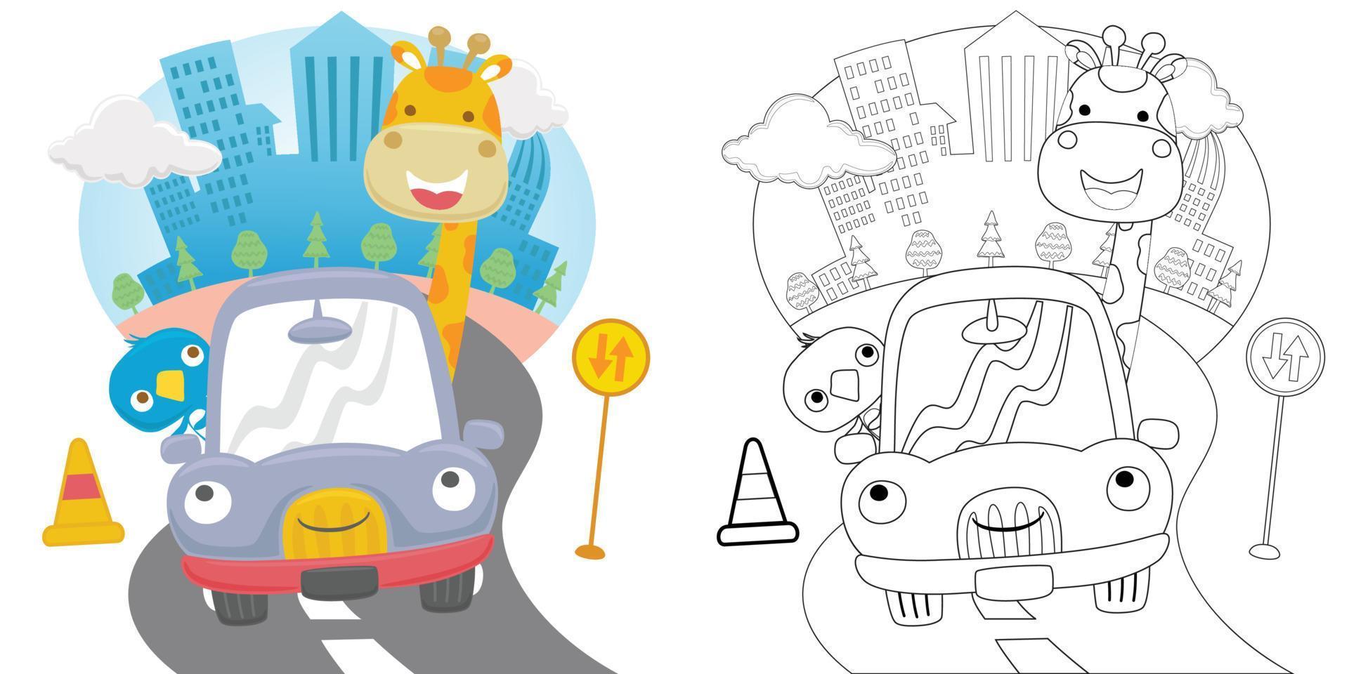 Vector cartoon of giraffe and bird on funny car in city road, coloring book or page