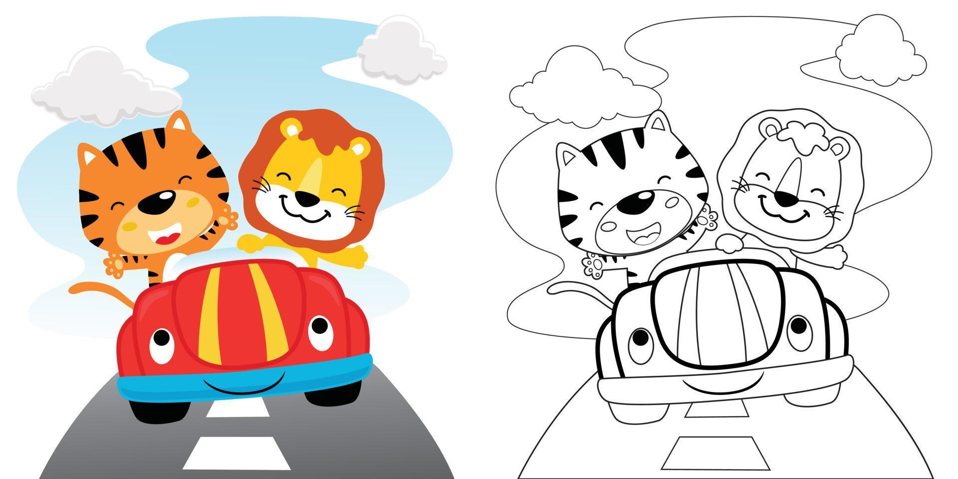 Vector cartoon of tiger and lion on funny car, coloring book or page