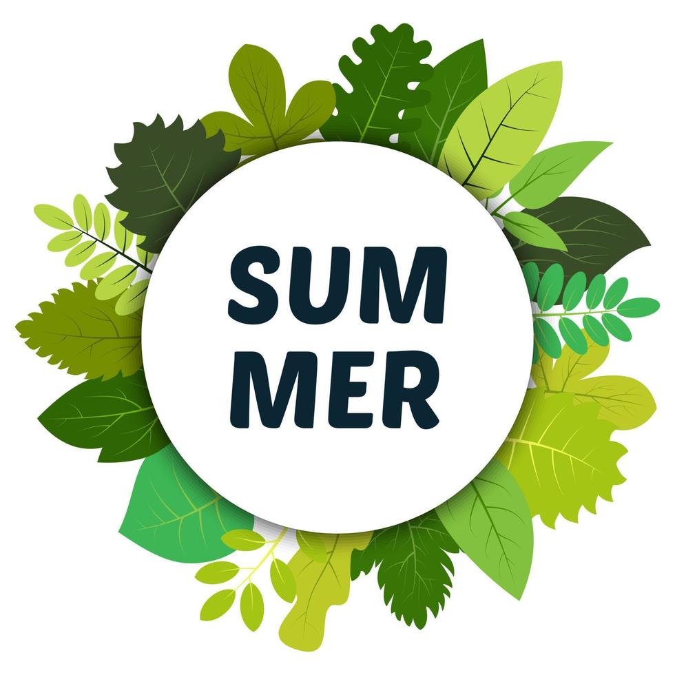 Green summer leaves under white round label and inscription summer. Vector card with green leaves isolated on white background