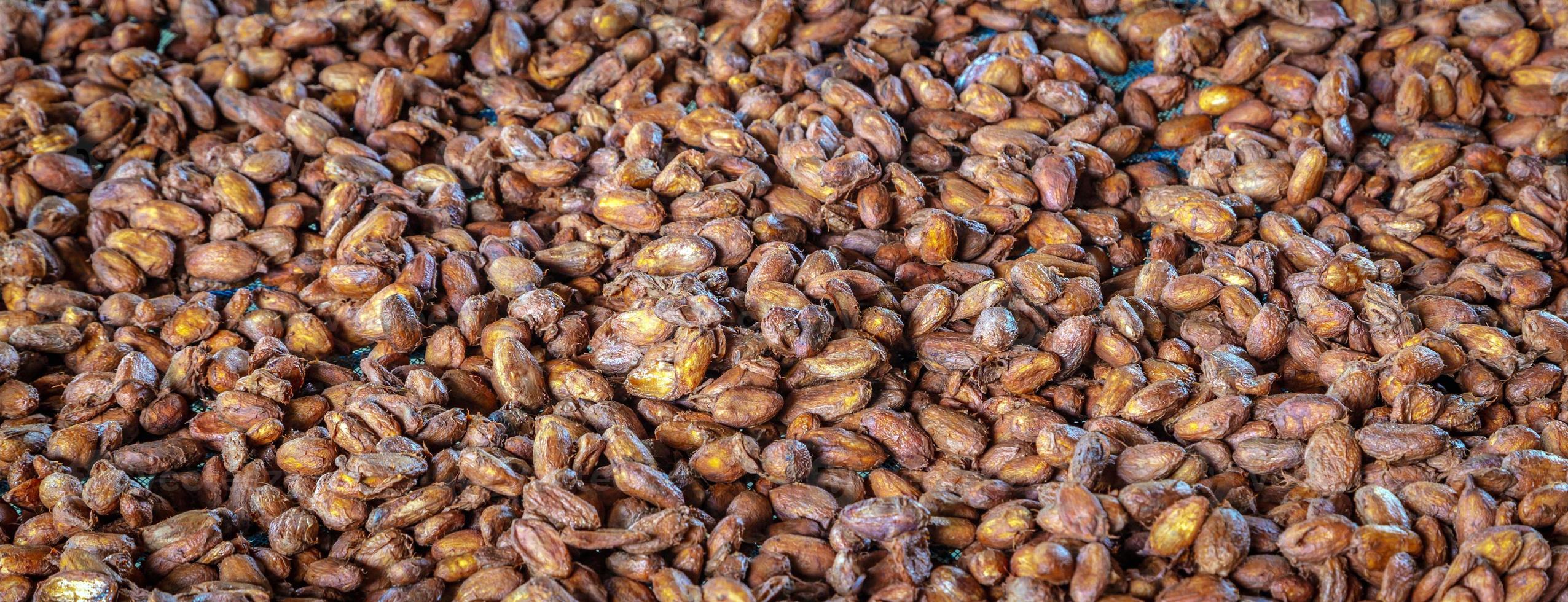 Fresh fermented cocoa beans are dried in the sun to make chocolate.Top view photo
