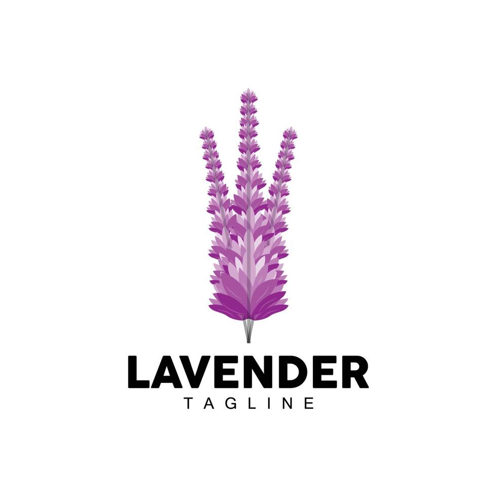 Lavender Logo, Hand Drawn Wedding Plant Design, Agriculture Vector, Symbol Illustration Template Icon vector