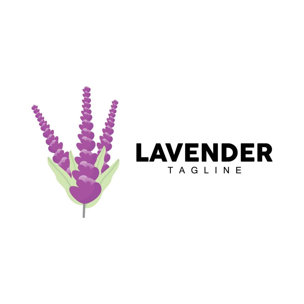 Lavender Logo, Hand Drawn Wedding Plant Design, Agriculture Vector, Symbol Illustration Template Icon vector