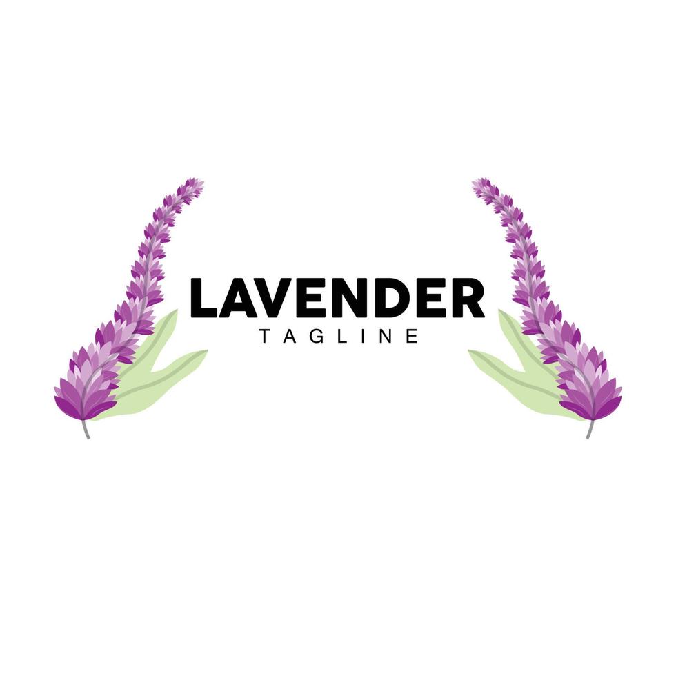 Lavender Logo, Hand Drawn Wedding Plant Design, Agriculture Vector, Symbol Illustration Template Icon vector