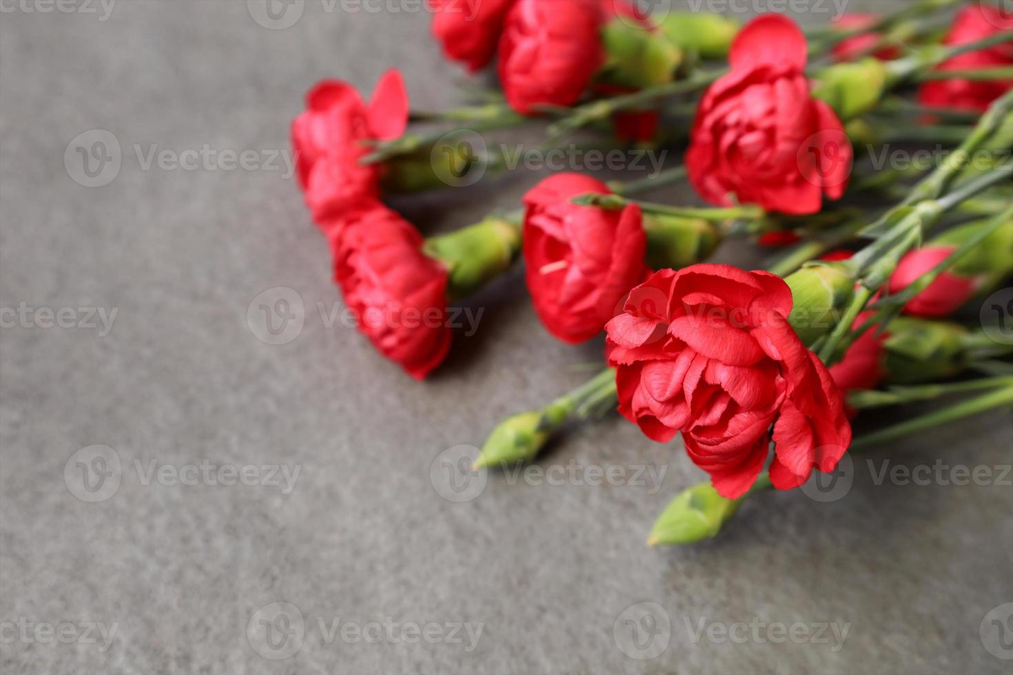 Bouquet of red carnations in upper right corner on gray stone background. World War memory symbol. Victory Day. Veterans Day. Memorial Day. Greeting card with place for text. photo