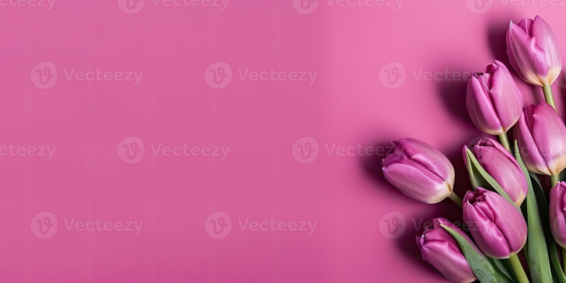 Flower setup on a solid background, with copy space, photo