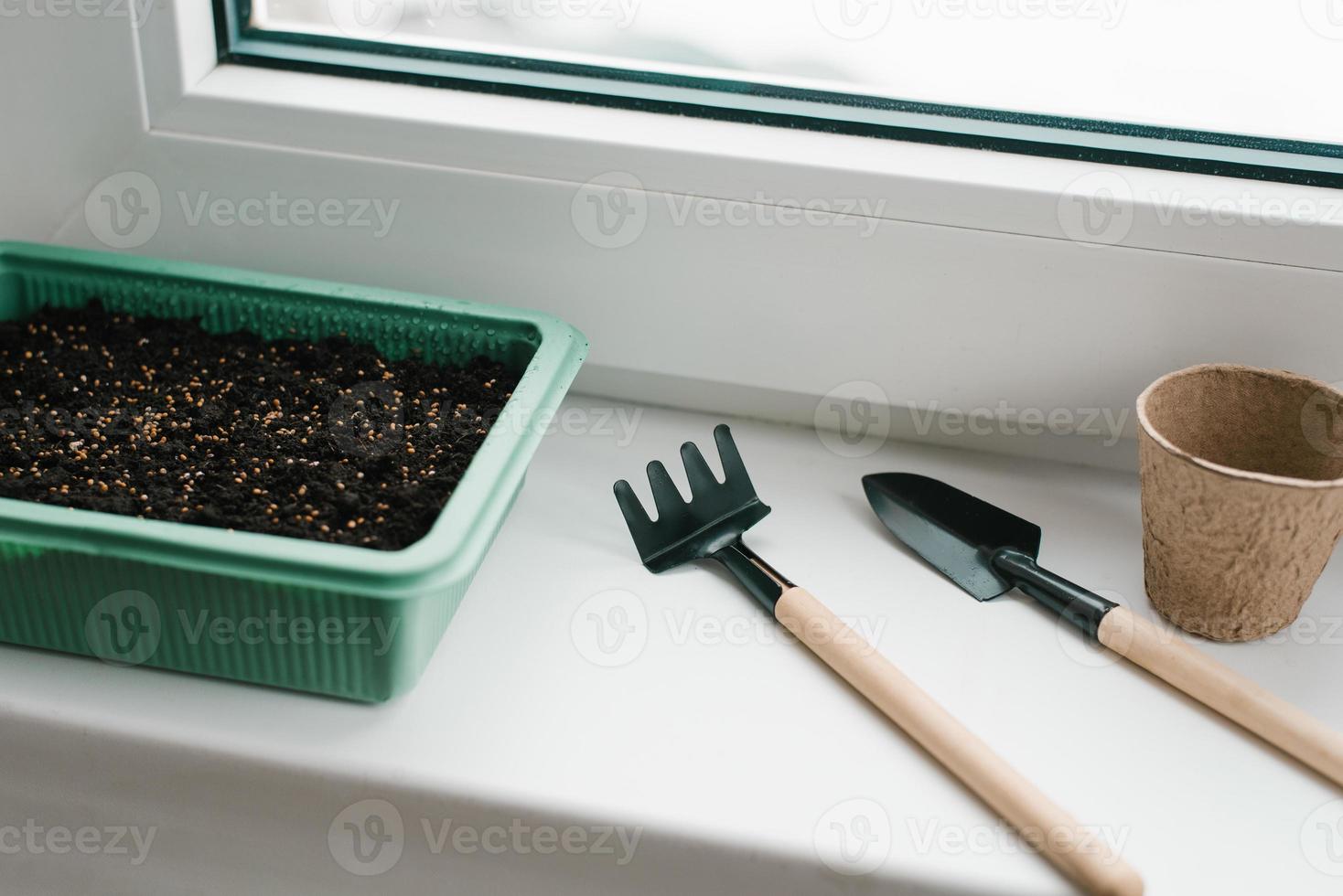 Container with peat and planted seeds with a garden tool at home on the windowsill photo