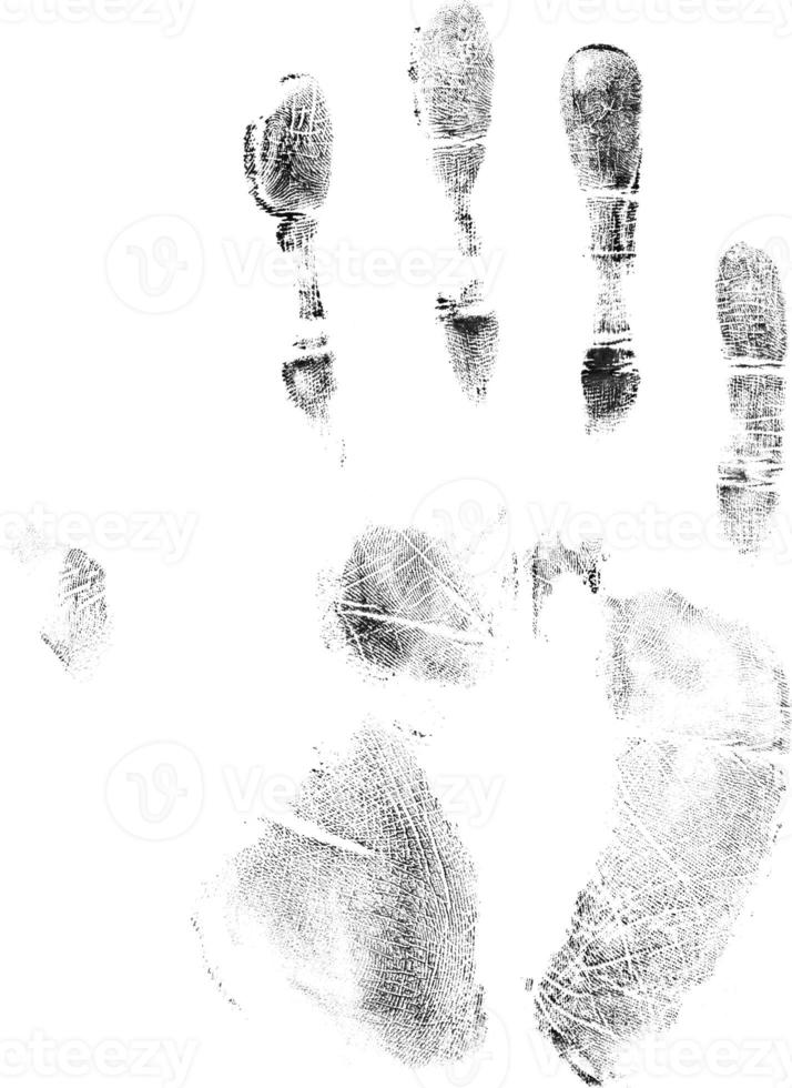 Print of hand or handprint of child with ink isolated on white background, Real Handmade Ink stamp photo