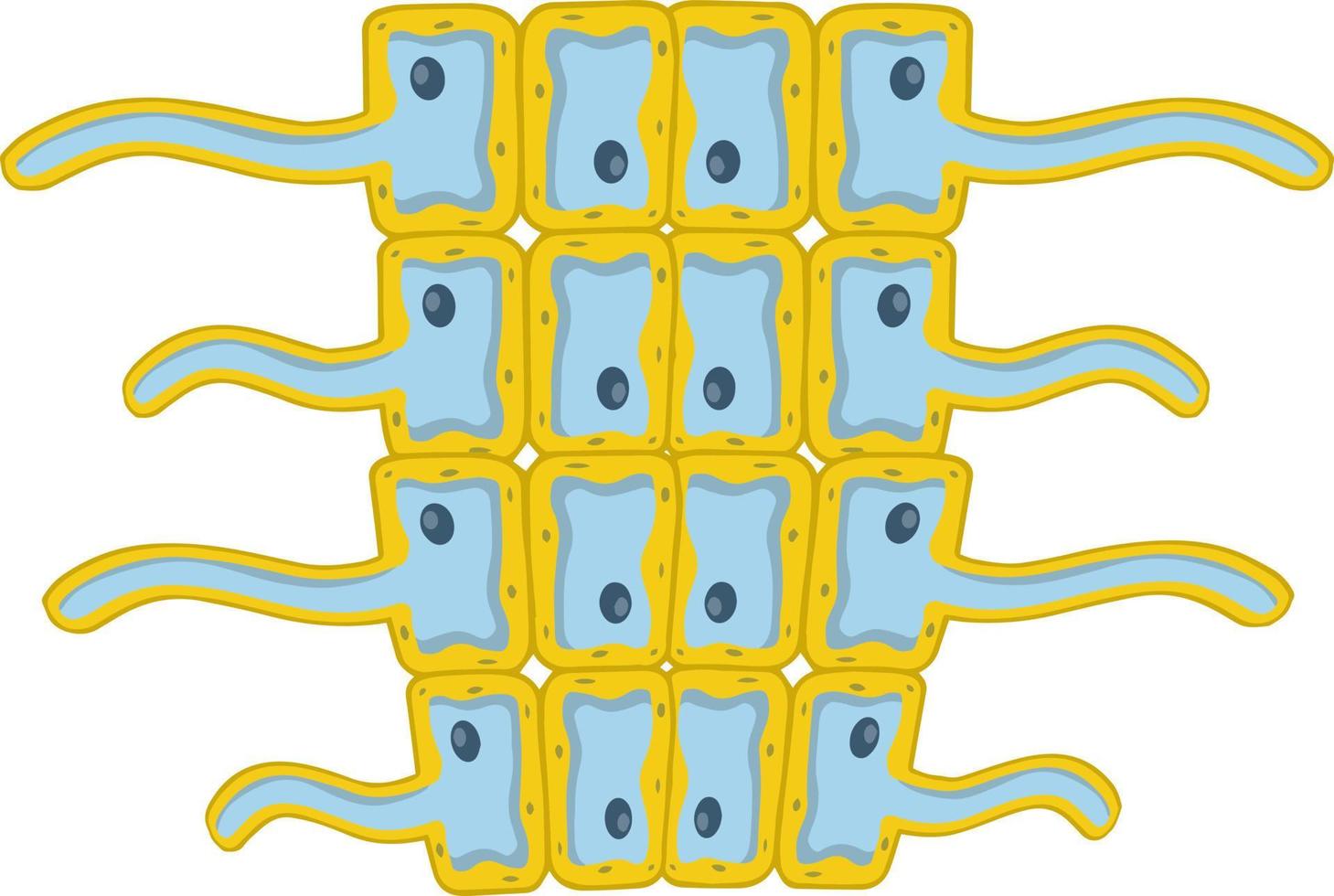 Cells of living things. Biology and root of the plant under a microscope. scientific model for education. Cartoon illustration vector