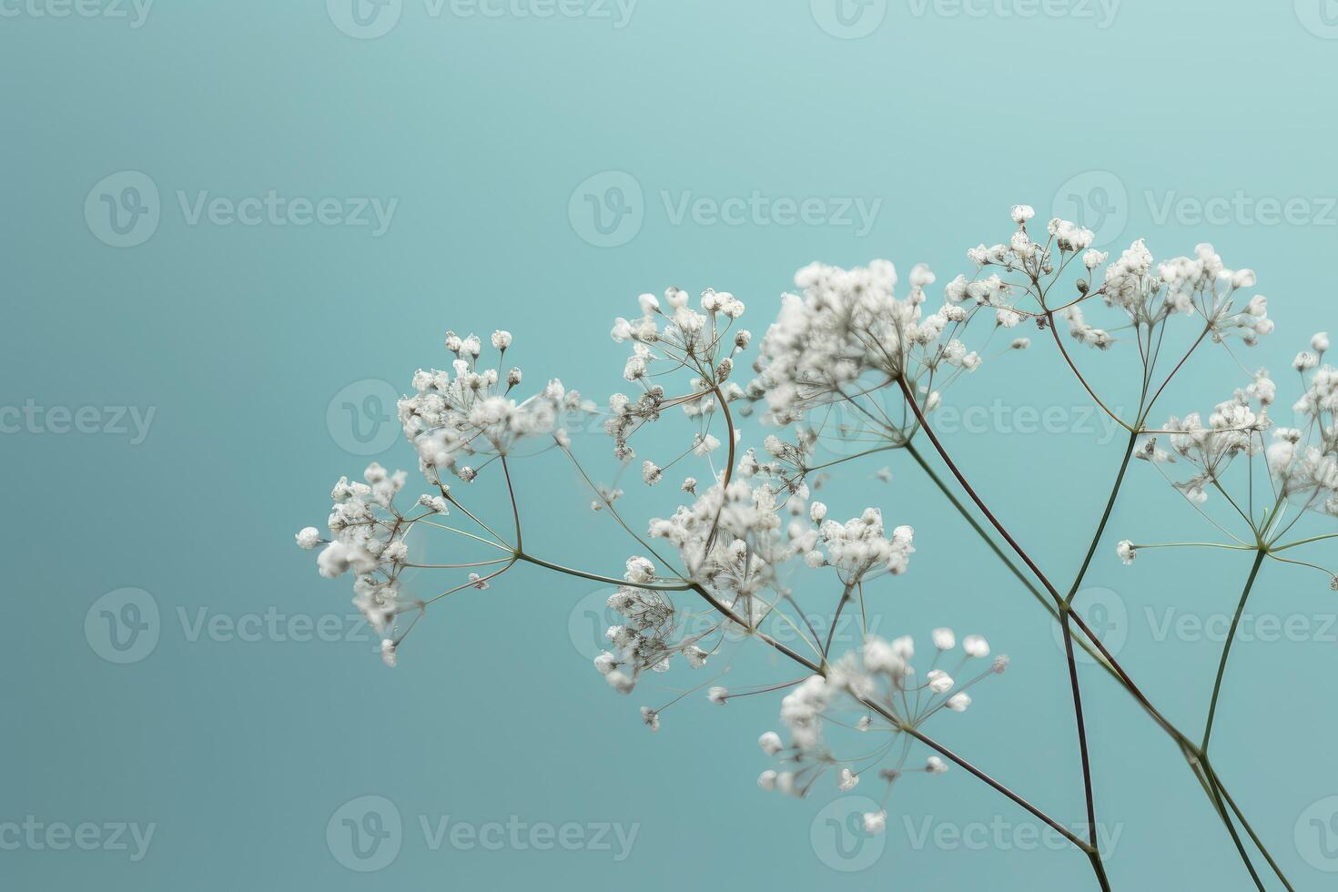 Flowers composition romantic. flowers, frame on pastel blue background. Valentine's Day, Easter, Birthday, Happy Women's Day, Mother's day. Flat lay, top view, copy space. photo