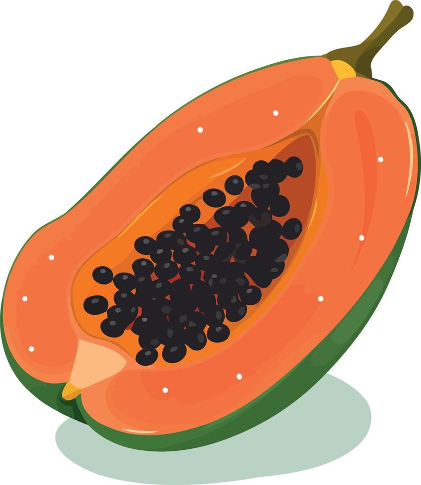 papaya Fruta cortar en medio vector