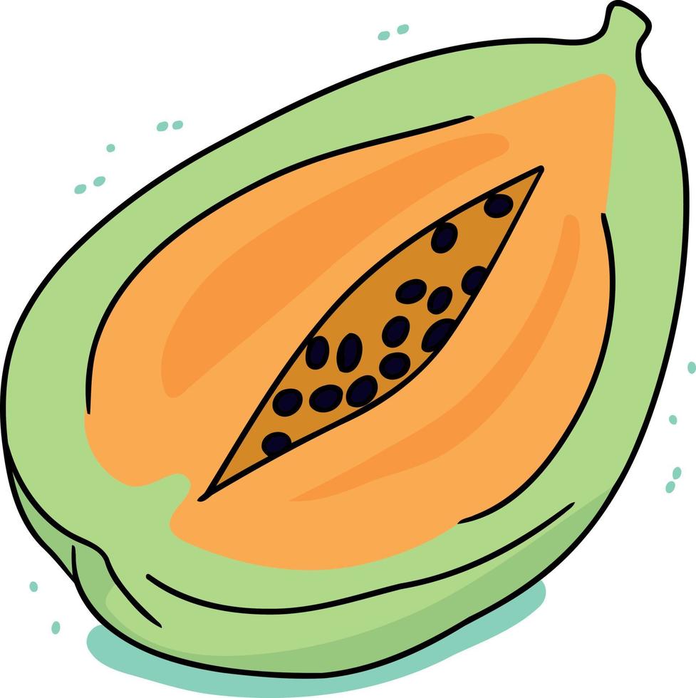 papaya Fruta cortar en medio vector