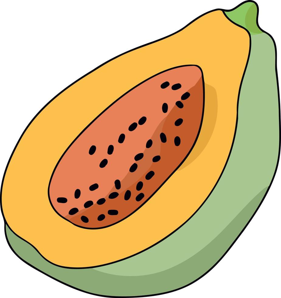 papaya Fruta cortar en medio vector