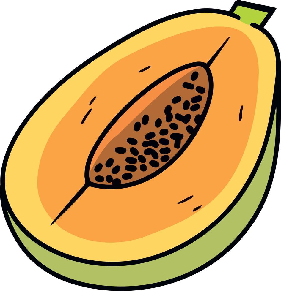 papaya Fruta cortar en medio vector