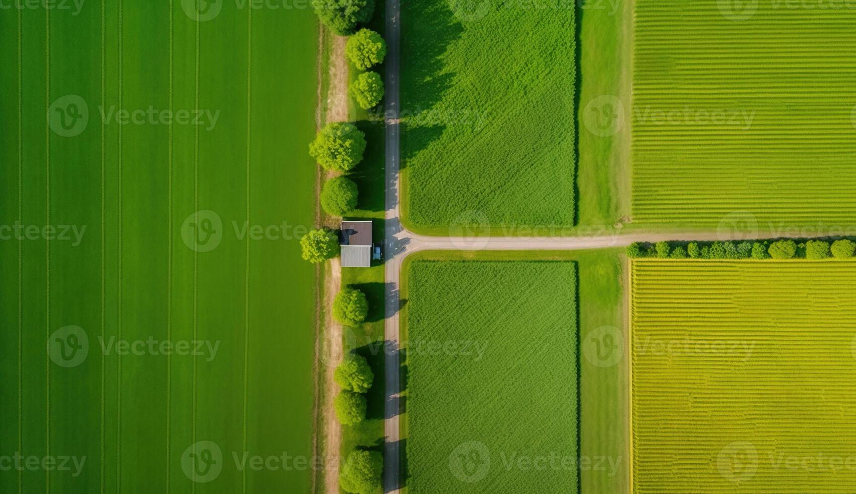 , Farm landscape, agricultural fields, beautiful countryside, country road. Nature Illustration, realistic top view drone, horizontal banner. photo