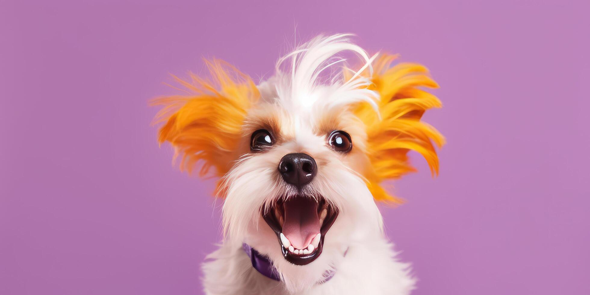 Cute dog on vivid background. Illustration photo