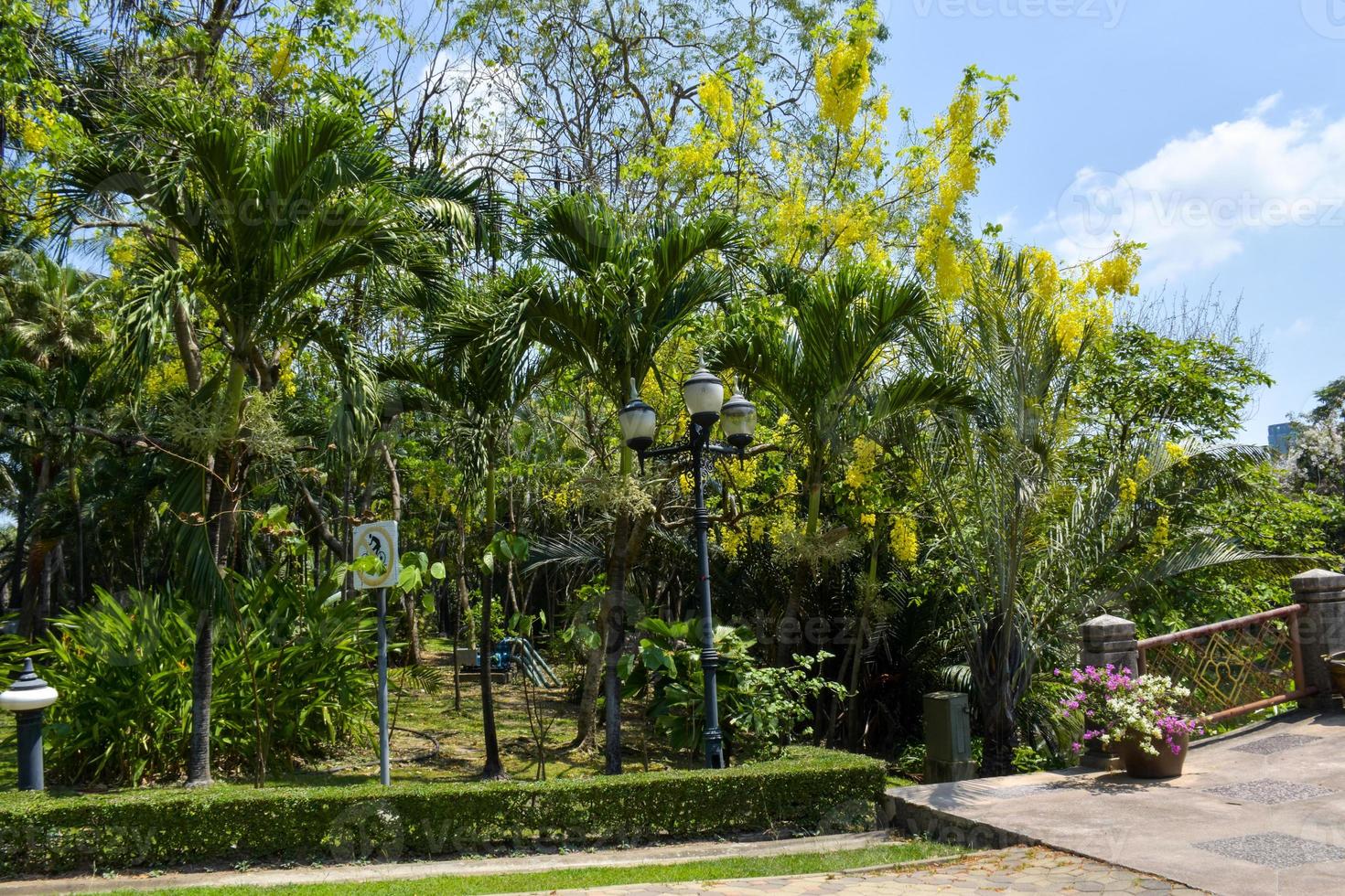 Blooming flowers and a bridge garden  park in Bangkok, Thailand photo