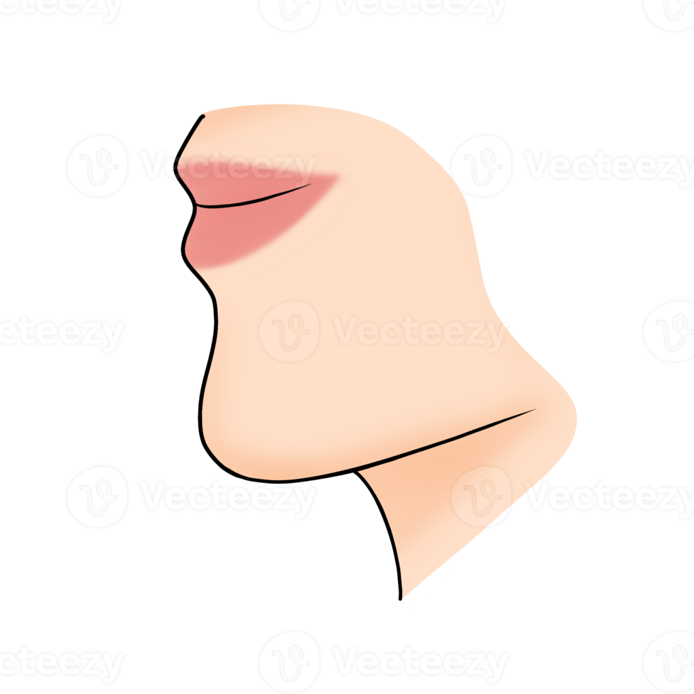 chin body part cartoon illustration png