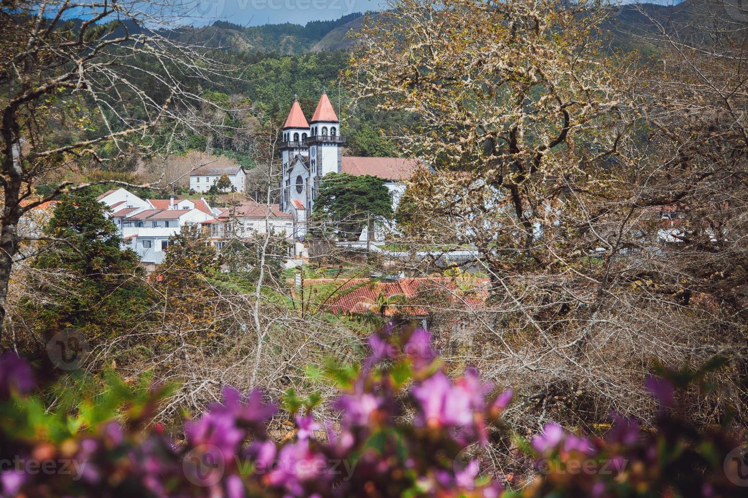 Parque Terra Nostra in Sao Miguel, the Azores photo