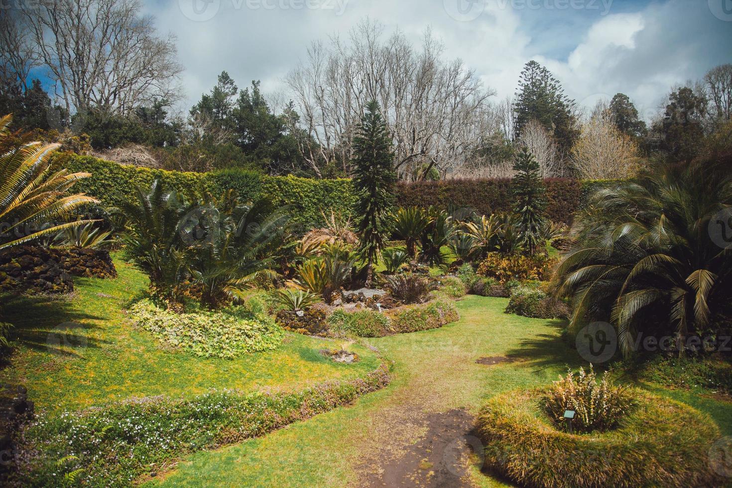 parque terra nostra en sao miguel, el azores foto