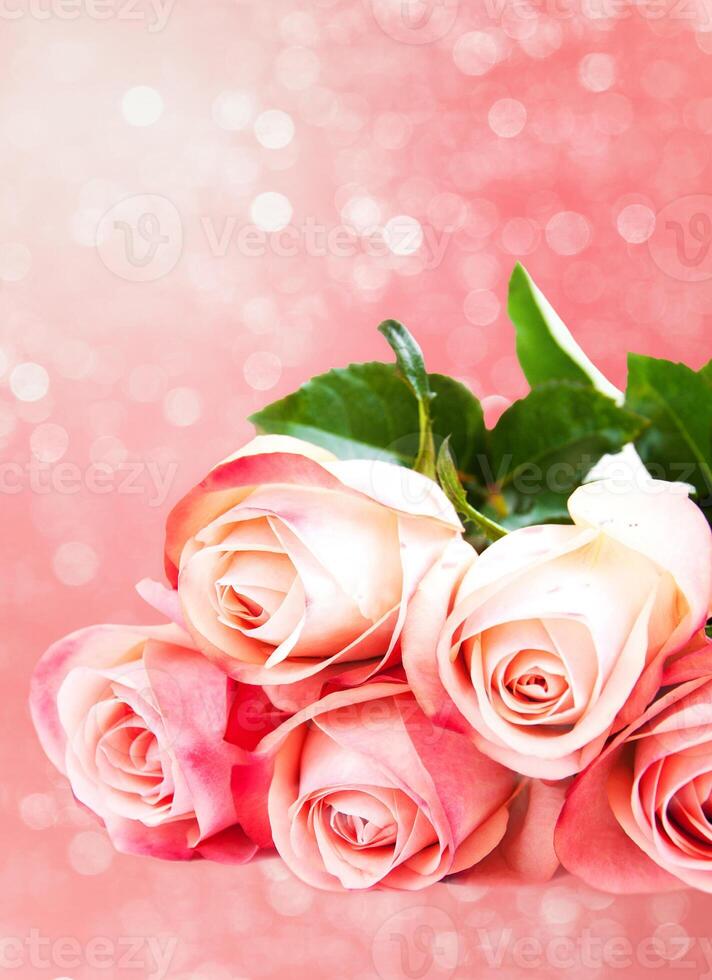 Pink rose blossoms on bokeh background photo