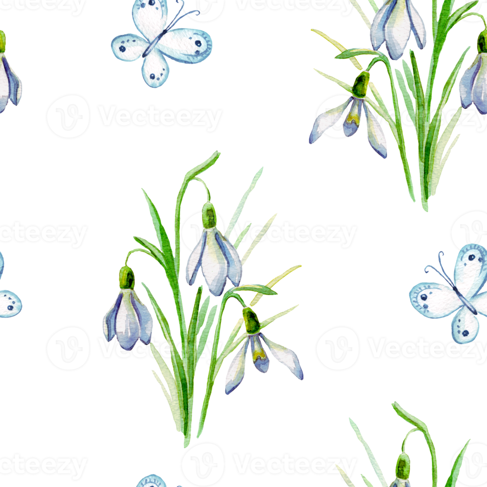 snowdrop-watercolor-seamless-pattern-22994599-png