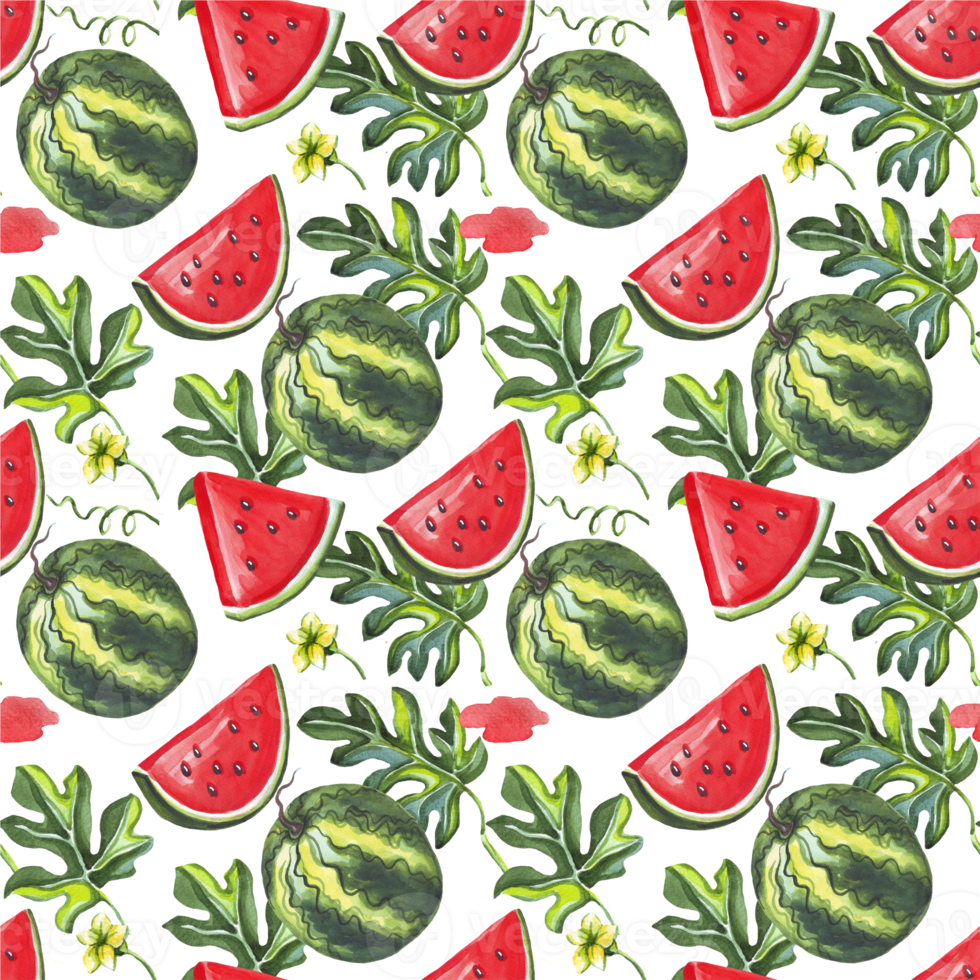 Watermelon seamless  pattern. Watercolor illustration png